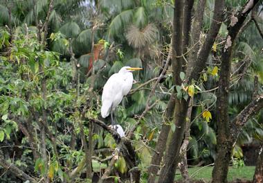 Botanical State Park