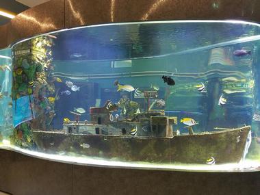 Imaginarium Hands-On Museum