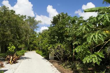 Naples Botanical Gardens